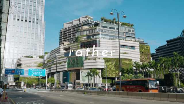 rather案例封面