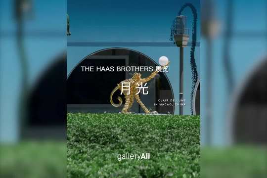 哈斯兄弟澳门月光展览案例封面